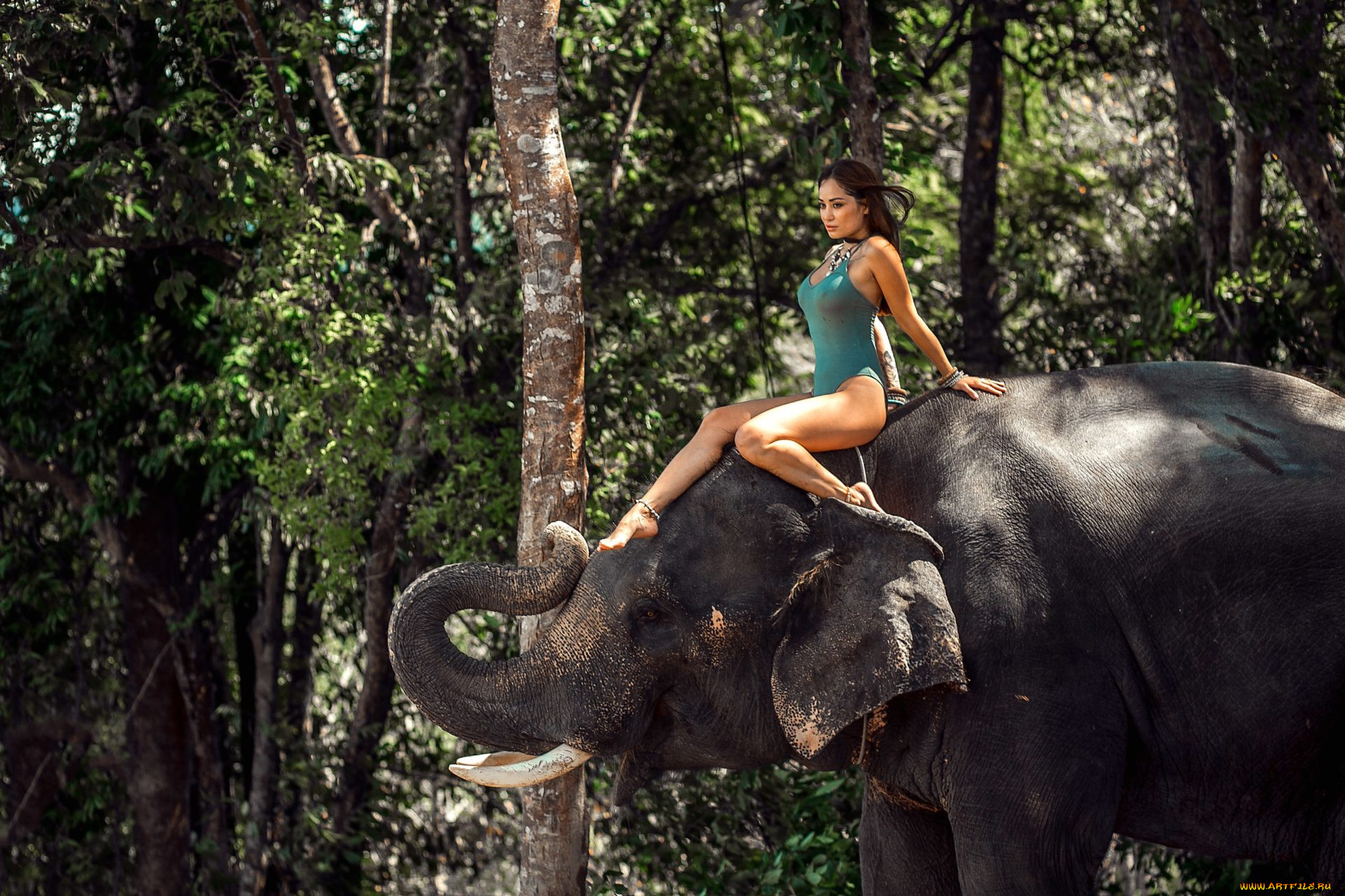 Шри ланка женщины. Девушка на слоне. Верхом на слоне. Фотосессия со слоном. Человек верхом на слоне.